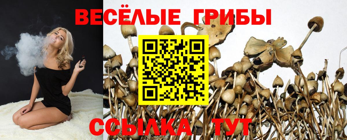 Димитровград  закладка  Вход с VPN  Галлюциногенные грибы MAGIC MUSHROOMS 